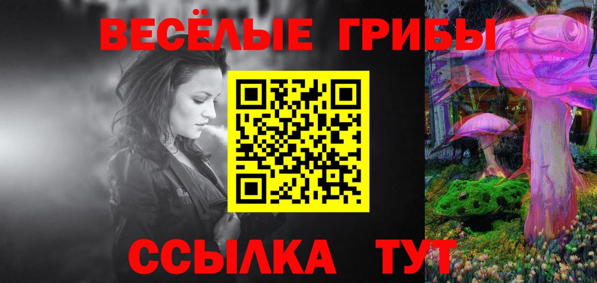 Псилоцибиновые грибы Psilocybe  Вход с VPN  Комсомольск-на-Амуре  Галлюциногенные грибы Cubensis 