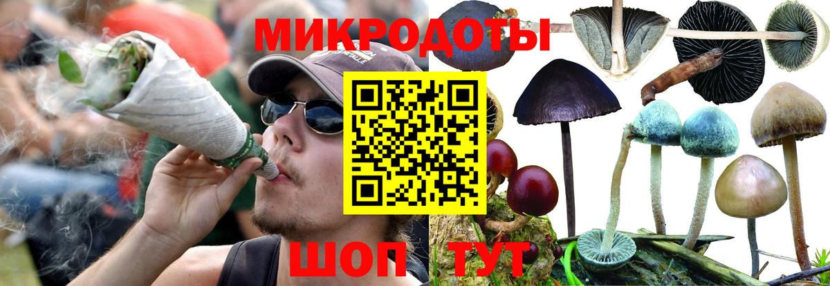 Галлюциногенные грибы GOLDEN TEACHER Комсомольск-на-Амуре